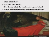Der Tod liebt Zimmerpflanzen