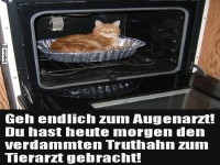 Ofenkatze: Der neue Truthahn-Ersatz!