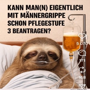 fun-Bild: Faultier im Männergrippe-Drama