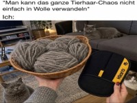 Katzenhaare? Kein Problem!