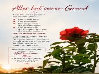 alles hat seinen grund