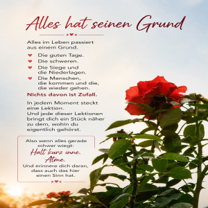 alles-hat-seinen-grund.png von Fabioma