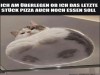 weiter