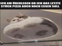 Wenn die Pizza-Gel�ste gewinnen