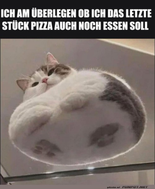 Wenn-die-Pizza-Gelüste-gewinnen.jpg auf www.funpot.net