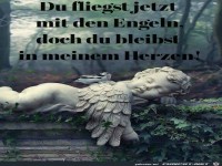 du fliegst jetzt mit den Engel