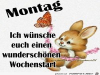 montag263