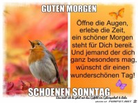 Guten Morgen- 