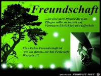 freundschaft ist eine zarte Pflanze......