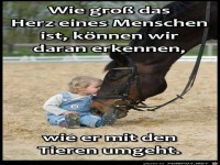 Wie gross das Herz eines Menschen ist