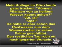 Mein Kollege im B�ro heute ganz trocken