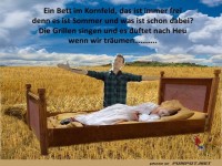 Ein Bett im Kornfeld....