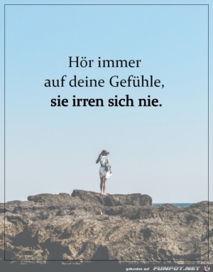 Hr-immer-auf-deine-Gefhle.jpg auf www.funpot.net