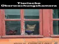 Tierische �berwachungskamera