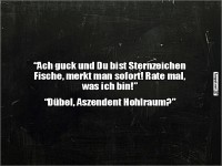 Sternzeichen....
