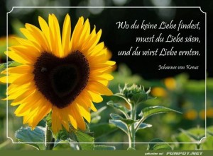 Wo-du-keine-Liebe.jpg auf www.funpot.net