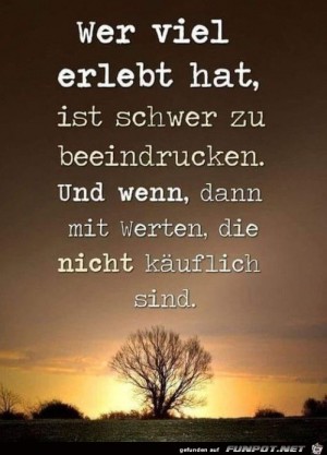 Nicht-k�ufliche-Werte.jpg auf www.funpot.net