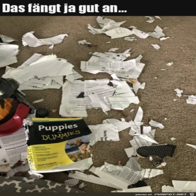 Ganze-Arbeit-geleistet.jpg von Ava