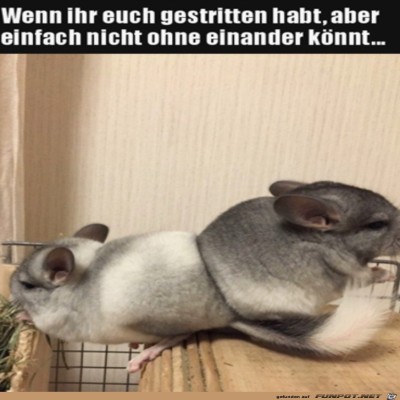Streit-gehabt.jpg von Rebecca