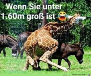 Das-Problem-mit-der-Gre.jpg auf www.funpot.net