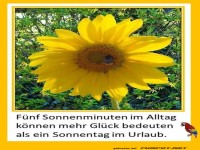 Fnf Sonnenminuten