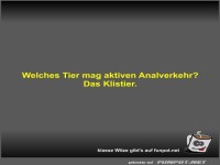 Welches Tier mag aktiven Analverkehr?