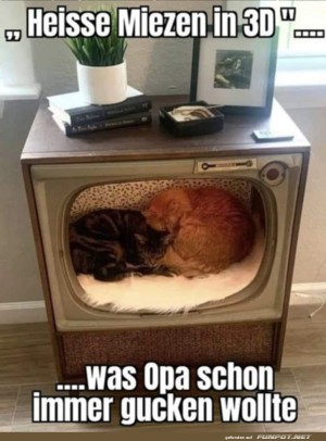 Besonderes-Fernseh-Erlebnis.jpg auf www.funpot.net