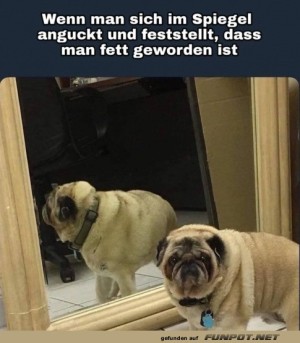 Fett-geworden.jpg auf www.funpot.net