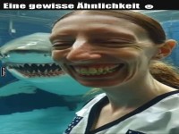 Lustiges Selfie mit Hai