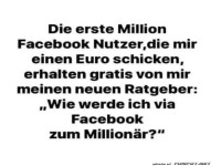 Ratgeber: Facebook zum Million�r werden