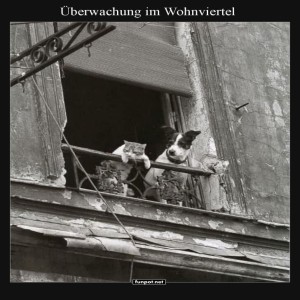 fun-Bild: Die Nachbarschaftswache in Action