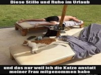 Urlaub mit der Katze: Ruhe garantiert!