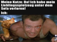 Katzendetektiv auf Mission