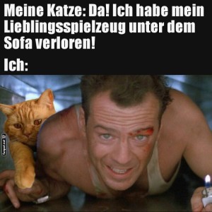 fun-Bild: Katzendetektiv auf Mission