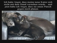 Geheime Macht�bernahme im Wohnzimmer!