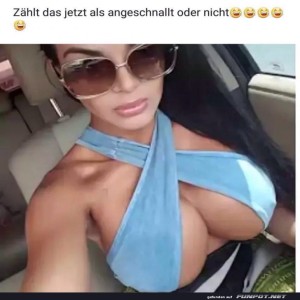 fun-Bild: angeschnallt
