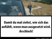 sehr passend zur Urlaubszeit