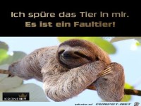 Ich spuere