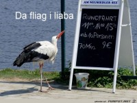 da fliag i liaba
