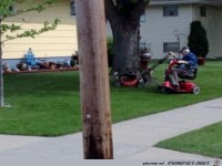 gartenarbeit-fuer-fortgeschrittene