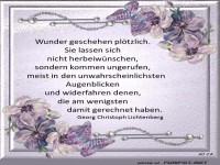 Wunder