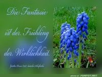 Die Fantasie