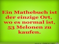 Das Mathebuch