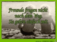 Freunde fragen nicht
