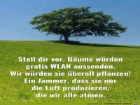 Bäume + WLAN
