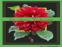 Ein schoenes Wochenende 5