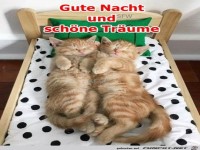Gute Nacht 02