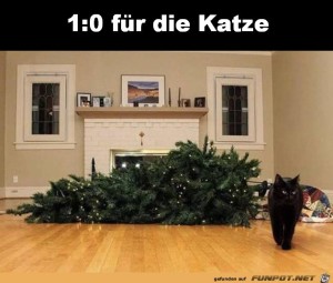 Die-Katze-hat-gewonnen.jpg auf www.funpot.net