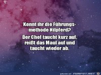 F�hrungsmethode Nilpferd