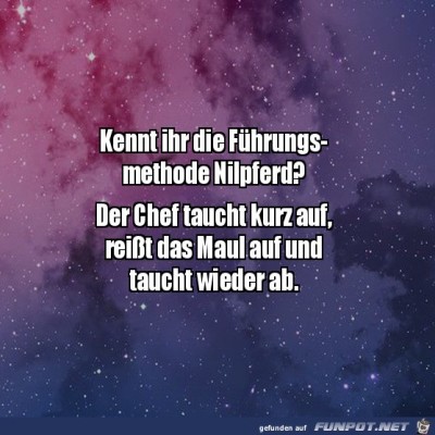 F&uuml;hrungsmethode-Nilpferd.jpg von Lina